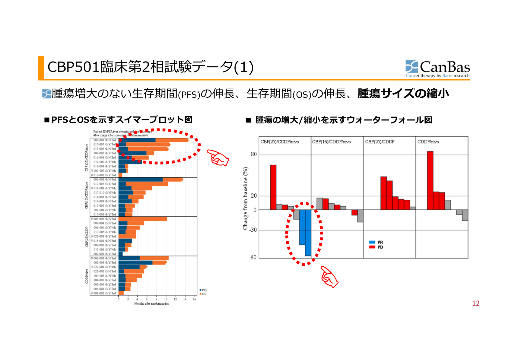 Slide 12