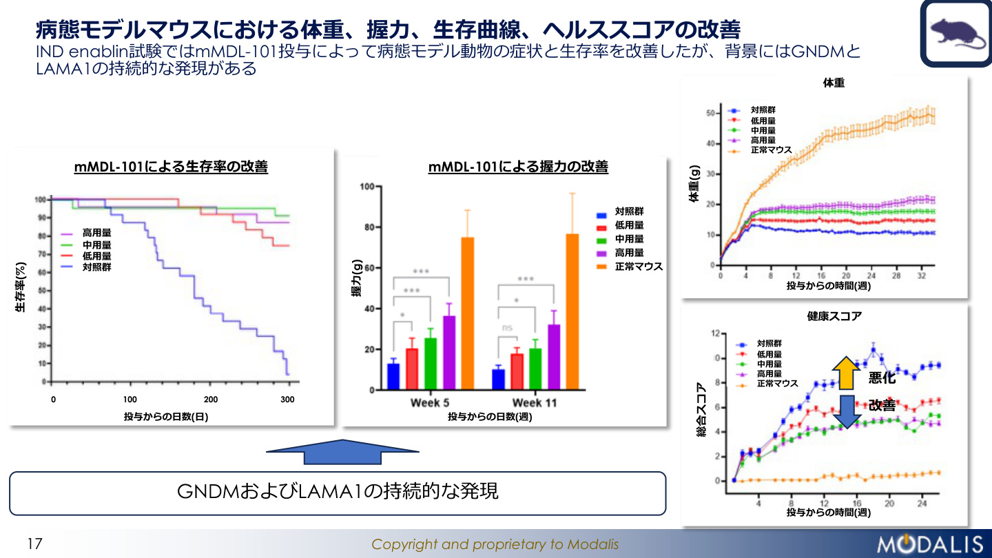 Slide 17