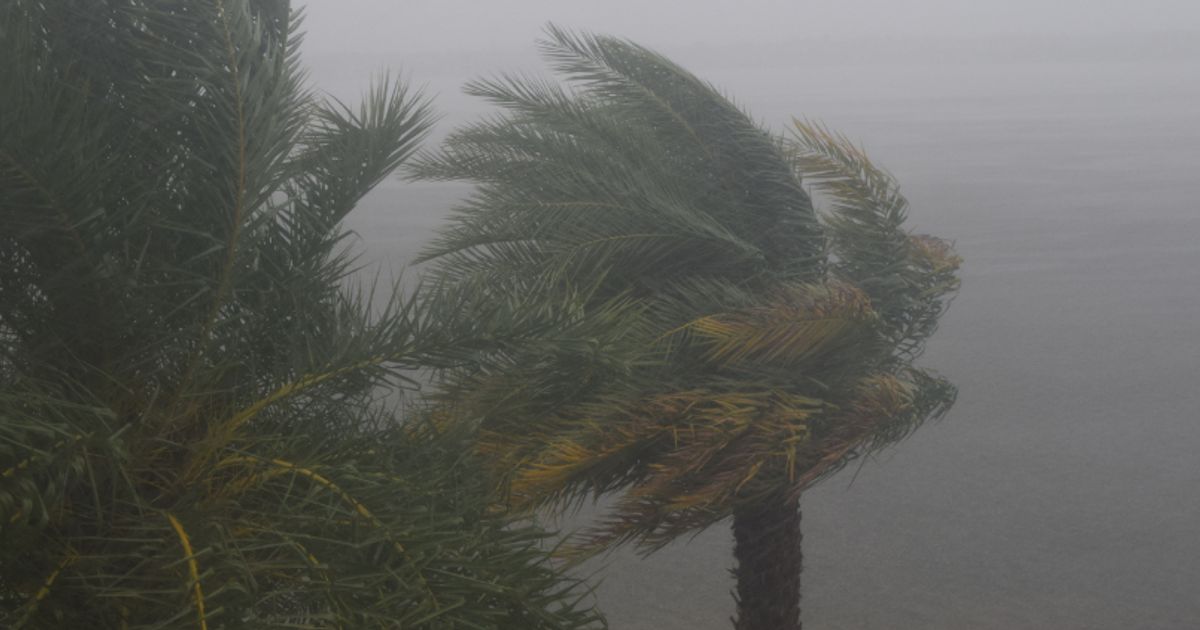 Hurricane forecasters split as insurers count the cost of a record-hot June