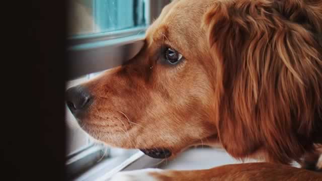 Central Garden & Pet Company: This Is Far From A Strong Growth Play