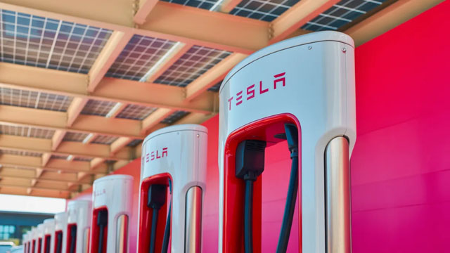 Trader who successfully shorted Tesla into earnings now sets sights on this high flyer