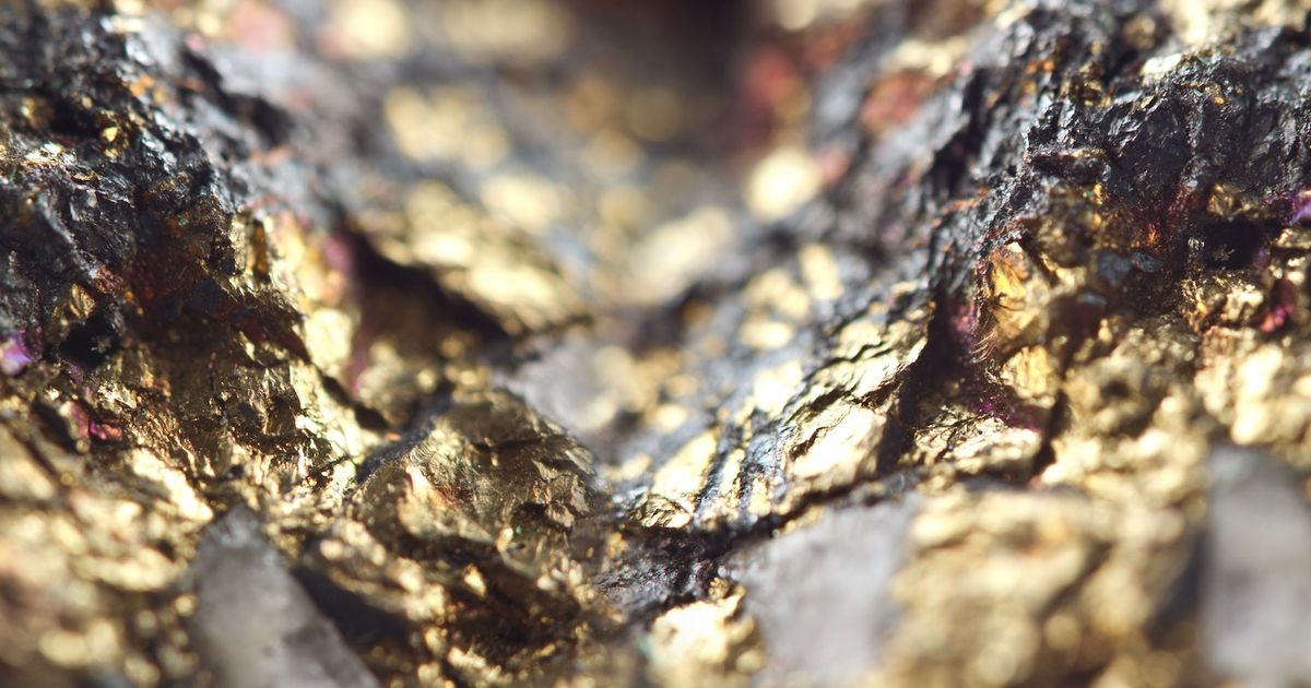 FireFly Metals advances Green Bay study as high-grade drilling strengthens early production case - ICYMI