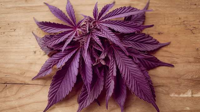 カナダ大麻大手、欧州市場に照準