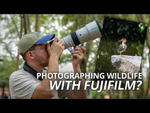 FUJIFILM XF 400mm F4.5 R LM OIS WR Super-Telephoto Lens; YouTube First Look Video and More Info at B&H