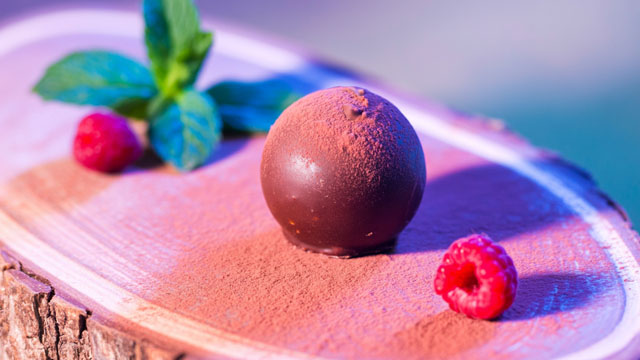 Cocoa Crashed This Year. So Why Is Your Halloween Candy Still This Pricey?